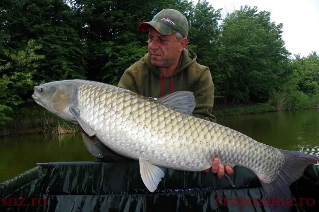 Tancabesti 2013 - 1010420-1.jpg